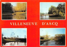 Villeneuve D'Ascq - Villeneuve D'Ascq