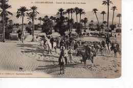 Cpa Colomb Béchar Convoi De Mulets Dans Les Dunes - Bechar (Colomb Béchar)