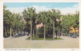 Royal Palm Way - Palm Beach, Fla - Palmiers, Circulation Automobile - Pas Circulé, Couleur - Palm Beach