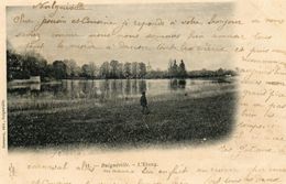 CPA - BULGNEVILLE (88) - Aspect De L'Etang En 1905 - Bulgneville