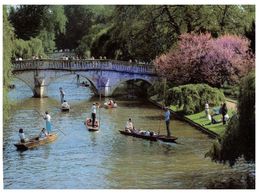 (515) UK - Cambridge Punting On River - Rudersport