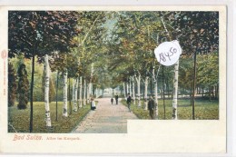 CPA ( Précurseur) -18450- Allemagne - Bad Sulza - Allee Im Kurpark-Envoi Gratuit - Bad Sulza