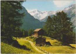 SUISSE,HELVETIA,SWISS,SWITZERLAND,SCWEIZ,SVIZZERA, VALAIS,VAL D'HERENS,REFUGE,CHALET,PR AIRIE,BARRIERE,CHEMIN - Sonstige & Ohne Zuordnung