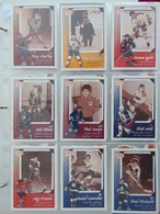 Cartes Hockey McDonald 2003 Set De Base  Incomplet  (45/55 Cartes) - Catálogos