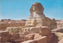 CPSM - GIZA - The Sphinx - égypte - GF. - Sphynx