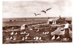 LANDS  END - First & Last House & Longships (Valentines) No Date, Unused - Land's End