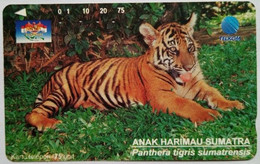 Indonesia 75 Units "  Anak Harimau Sumatra  ( Baby Tiger ) " - Indonesia