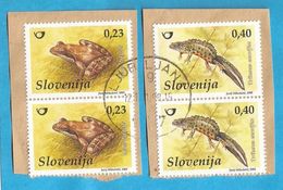 2008 FAUNA REPTILIEN  AMPHIBIEN SLOVENIJA SLOWENIEN USED - Araignées