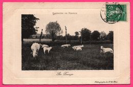 Paysages De France - Au Pacage - Prairie - Vaches - Champs - Nature - Héliographie De N.D. PHOT. - 1909 - Embossed - Elevage