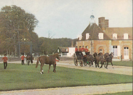 Exmes - Le Haras Du Pin - La Cour D'Honneur - Exmes