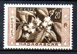 MADAGASCAR. N°331 De 1956. Café - Sonstige & Ohne Zuordnung