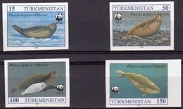 Turkmenistan 1993, WWF, Phoca Monaca, 4val IMPERFORATED - Turkmenistán