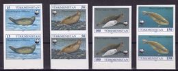 Turkmenistan 1993, WWF, Phoca Monaca, 4val X2 IMPERFORATED - Turkmenistán