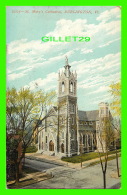 BURLINGTON, VT - ST MARY'S CATHEDRAL -  TRAVEL IN 1908 -  SOUVENIR POST CARD CO - - Burlington