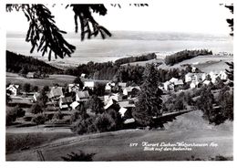 Kurort Lachen - Walzenhausen - Bodensee (carte Grand Format 10X15 Cm) - Walzenhausen