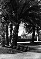 Italia - Roma - Il Pincio E Cupola Di San Pietro - Parcs & Jardins