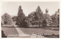 Ames Iowa, Iowa State College Campus View C1940s Vintage Real Photo Postcard - Ames