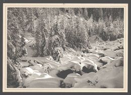 Delcampe - Wallis / Valais - Image Du Valais - Photo-edition Sierre - Yves Vouardoux - état Neuf - Sierre