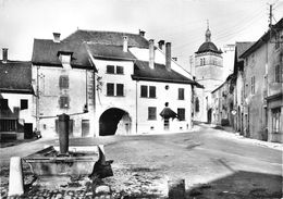 ¤¤  -  ORGELET   -  La Maison Du Portail Et La Vieille Fontaine     -  ¤¤ - Orgelet