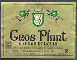 711 - Gros Plant Du Pays Nantais - Ets. P. Bourré - La Chapelle Saint Florent - 49410 - Vino Bianco