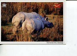 (102) India - UNESCO Pne Horned Rhino - Kaziranga - Rhinocéros