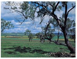 (400) Australia - NSW - Rural Scene - Mandooran - Outback