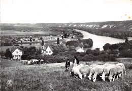 95-VETHEUIL- VUE GENERALE SUR LAVACOURT, ET LA ROCHE GUYON - Vetheuil