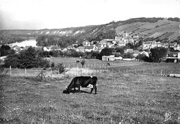 95-VETHEUIL- VUE GENERALE EN DIRECTION DE LA ROCHE GUYON - Vetheuil