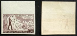 N° 1254 Ecole Normale Strabourg Essai Couleur ND Neuf N* TB Cote 35€ - Otros & Sin Clasificación