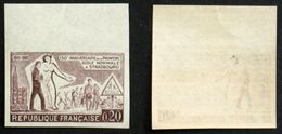 N° 1254 Ecole Normale Strabourg Essai Couleur ND Neuf N* TB Cote 35€ - Autres & Non Classés