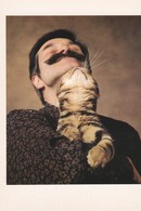 CPM 10x15 . Phot. Yann Arthus-Bertrand . CHAT. CAT. AMERICAN SHOTHAIR : Miribu's Bustopher Jones & Mr Leal à Mr PANTIGNY - Cats