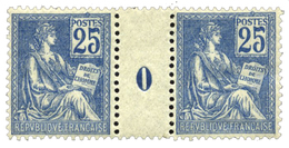 306 N°114* 25 C. Bleu En Paire Millésimée 1900 - Other & Unclassified