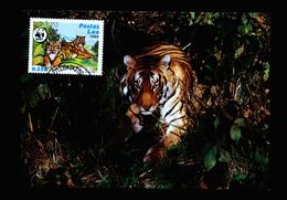 A5277) Laos 2 Maximumkarten Grosskatzen WWF 1984 - Laos