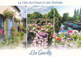 56 LA GACILLY / VILLE DES FLEURS ET DES PARFUMS / 3VUES - La Gacilly