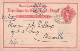 Brésil - Un Entier Postal - Postal Stationery