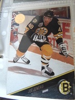 Hockey By Leaf 1993 #218 Joe Juneau - Cataloghi