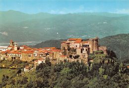 Cartolina Lunigiana Fosdinovo Castello E Borgo  (Massa) - Massa