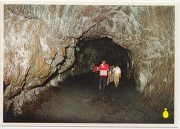 THURSTON LAVA TUBE, Volcanoes National Park, Island Of Hawaii, Unused Postcard [21000] - Hawaï