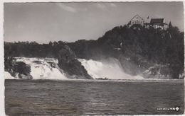 Rheinfall,schaffhouse,les Chutes Du Rhin,rive Droit,prés De Beringen,et Guntmadingen,fontière Allemagne,jestetten,rare - Schaffhouse