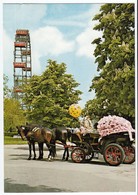 Wien,  Prater Riesenrad - Prater