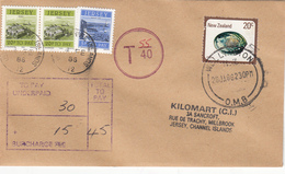 New Zealand Pictorial Used On Underpaid Cover To Jersey With Postage Due 2 X 20p + 5p - Segnatasse