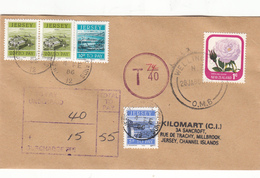 New Zealand Pictorial Used On Underpaid Cover To Jersey With Postage Due 2 X 20p + 10p + 5p - Segnatasse