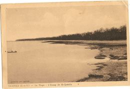 TRAPPES - La Plage-L'étang De St Quentin  84 - Trappes