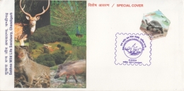 India 2016  Birds  Peacock  Animals   Sukhna Wild Life Sanctuary  New Delhi  Cover #  09392   D  Inde Indien - Paons