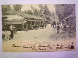 COLOMBO  :  Road To  MOUNT LAVINIA   1903    - Sri Lanka (Ceylon)