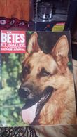 Betes Et Nature N° 73 - Animaux