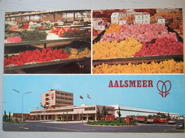 AALSMEER / CUTFLOWER SECTION UNITED FLOWER MARKETS - Aalsmeer