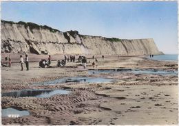 WISSANT,pas De Calais,cap Blanc-nez,la Plage Et Les Falaises,prés De Audresselles,tardinghen,audembert - Wissant