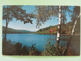 Canada 1962 Postcard ""Island Grove Lake Simcoe"" To USA - Queen - Brieven En Documenten