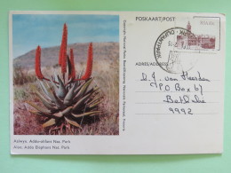 South Africa 1984 Postcard ""Aloe Flowers"" Elephant Nat. Park To Bethulie - Brieven En Documenten